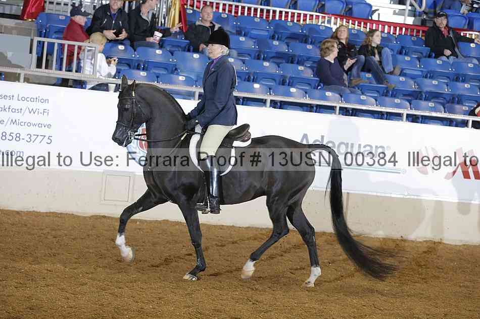 Proof 13usn_00384