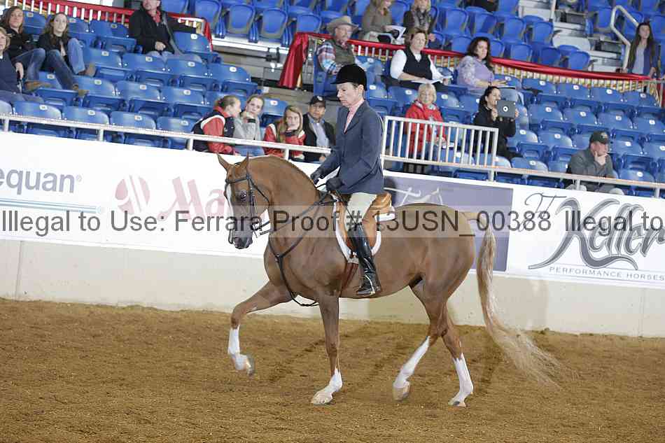 Proof 13usn_00388
