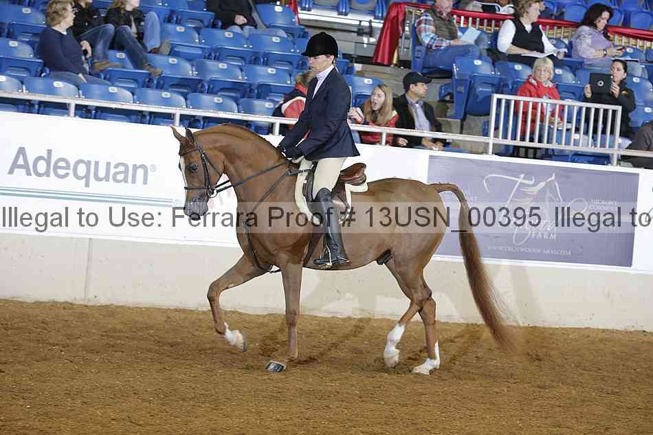 Proof 13usn_00395