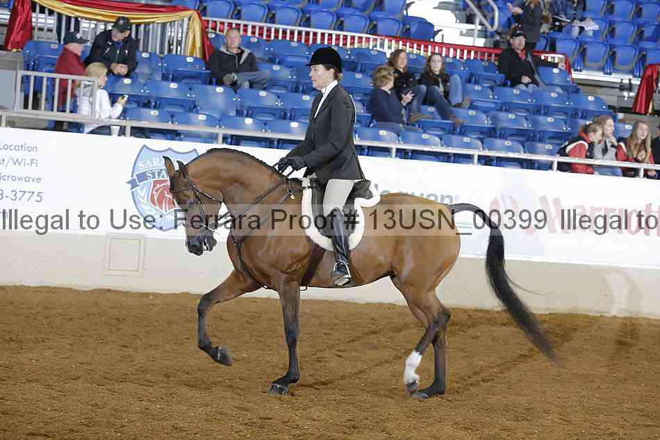 Proof 13usn_00399