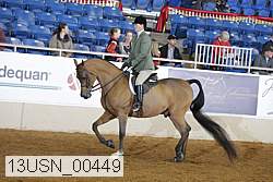 13usn_00449 proof