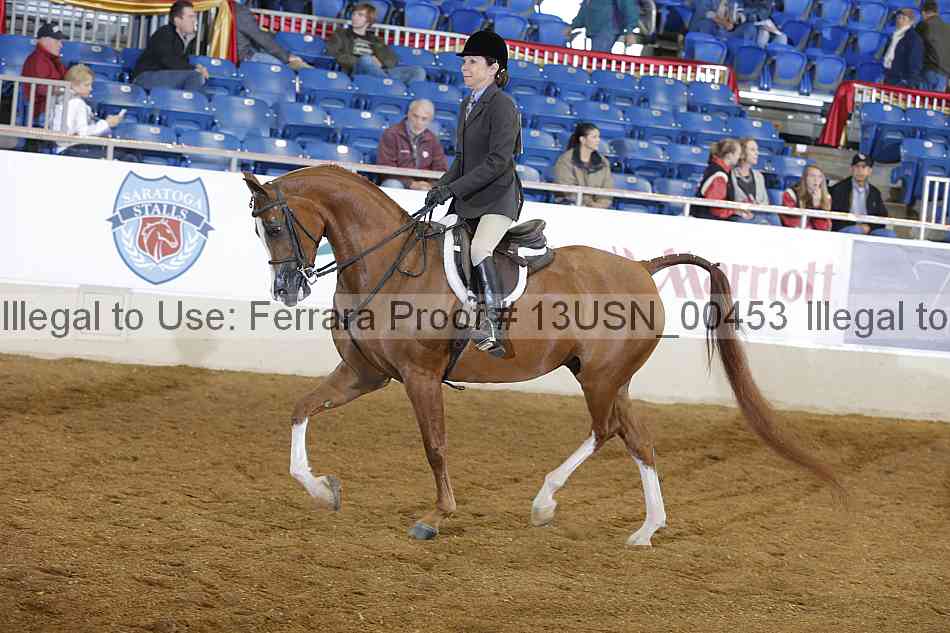 Proof 13usn_00453