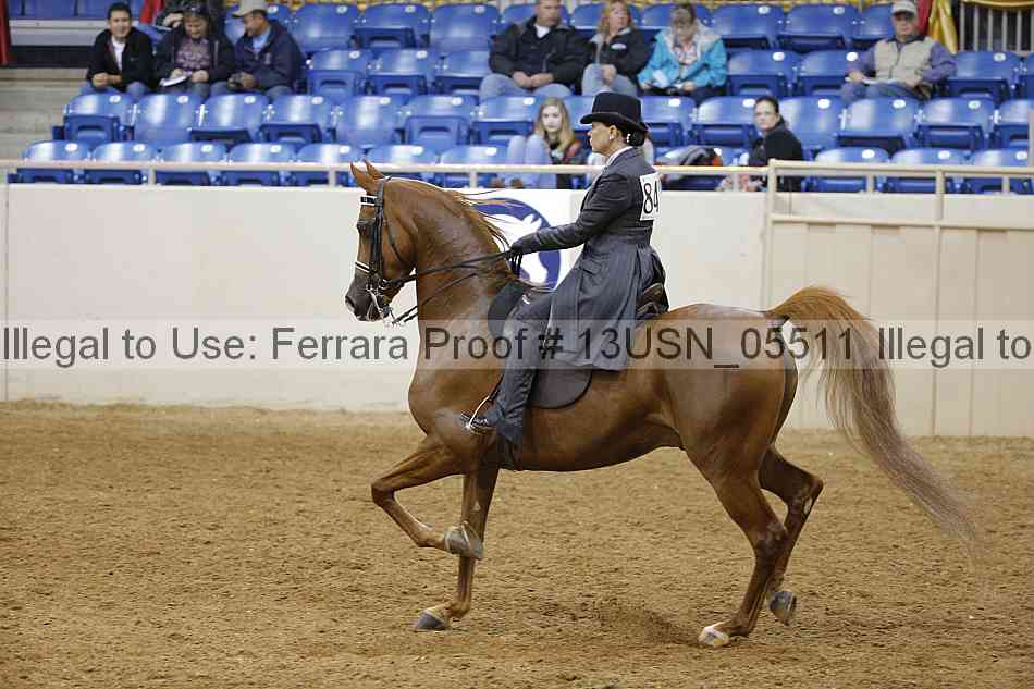 Proof 13usn_05511