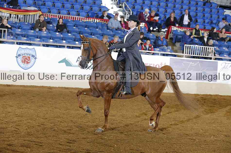 Proof 13usn_05512