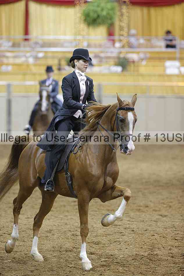 Proof 13usn_05540