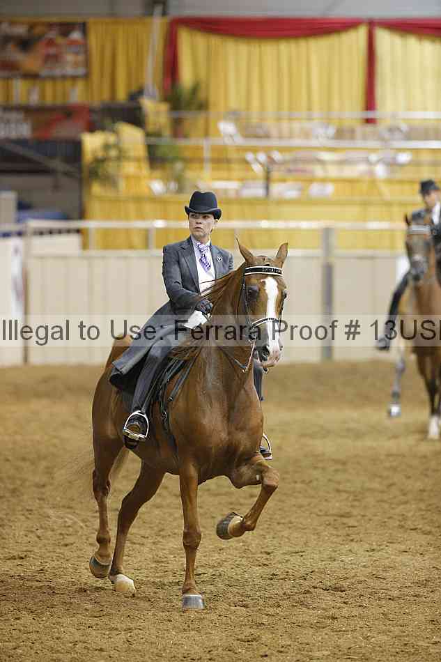 Proof 13usn_05541