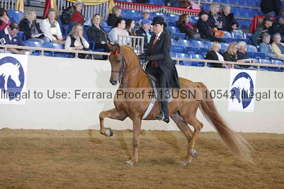 Proof 13usn_10542