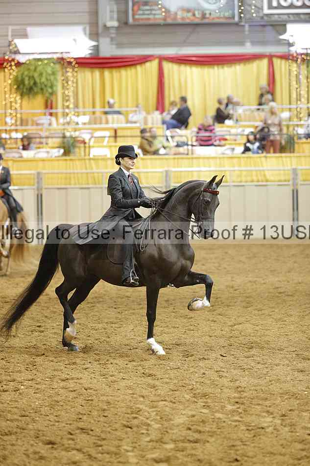 Proof 13usn_10555