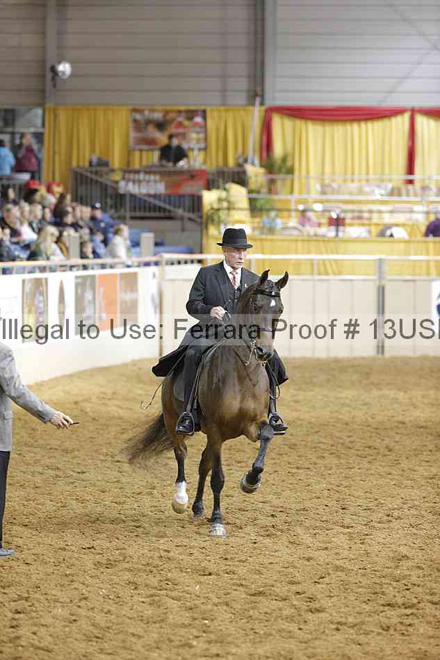 Proof 13usn_10561