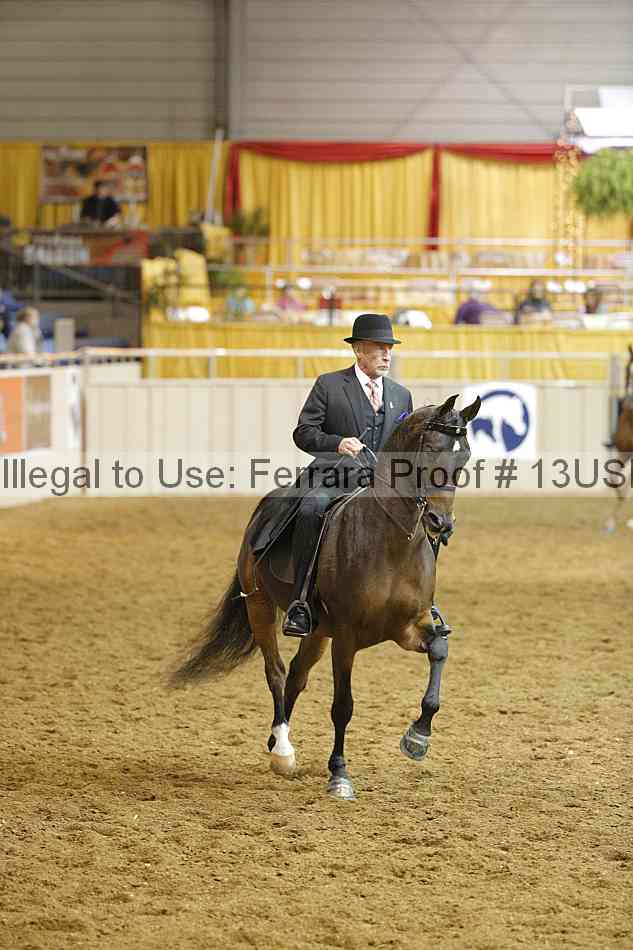 Proof 13usn_10562