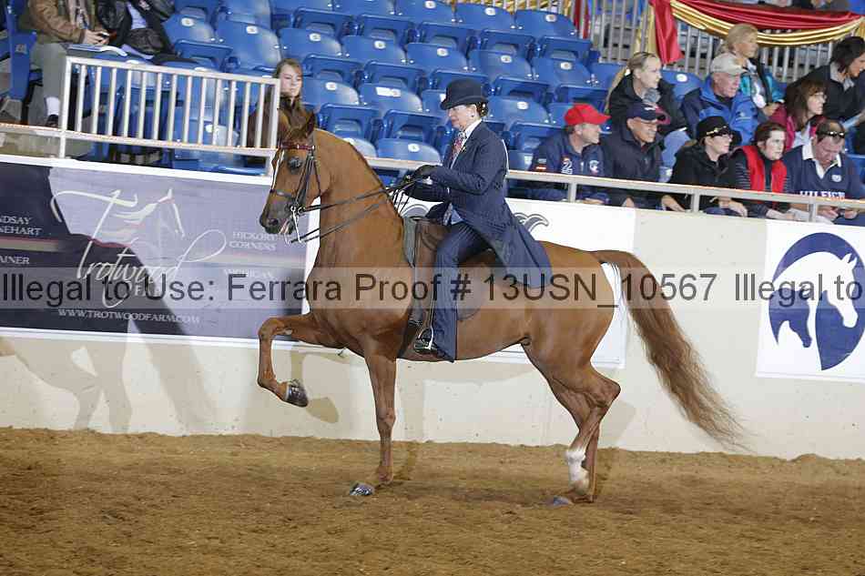 Proof 13usn_10567