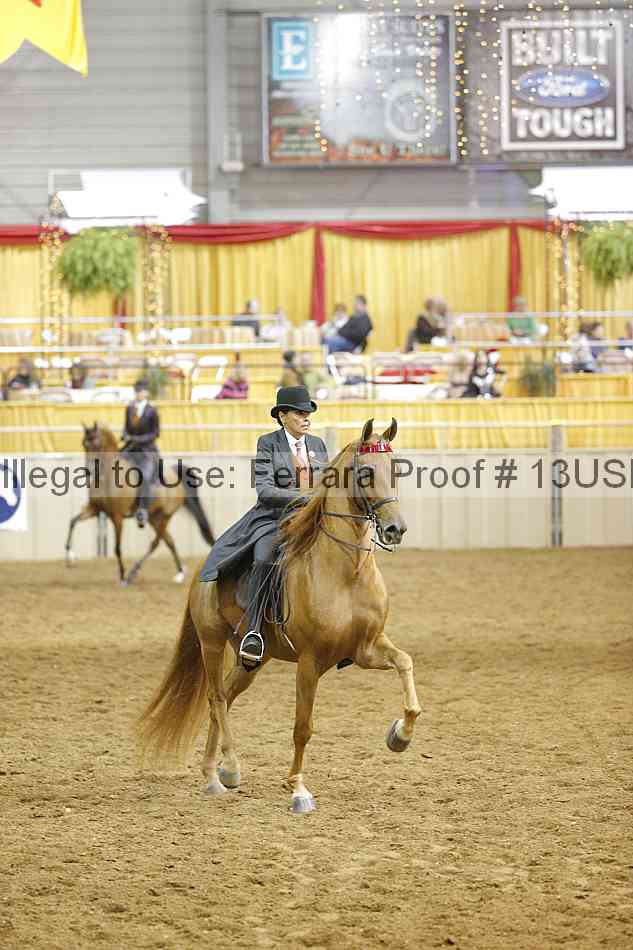 Proof 13usn_10571