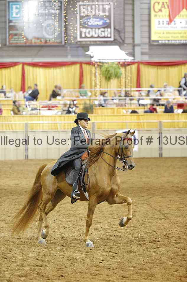 Proof 13usn_10572