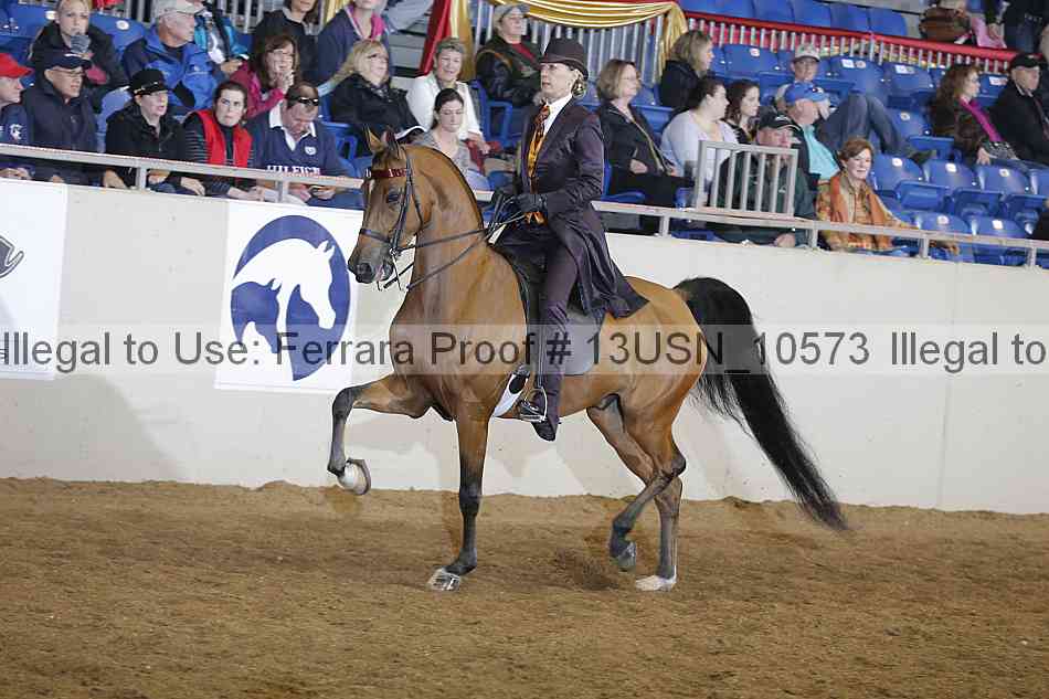 Proof 13usn_10573