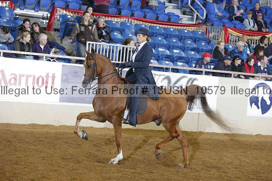 Proof 13usn_10579