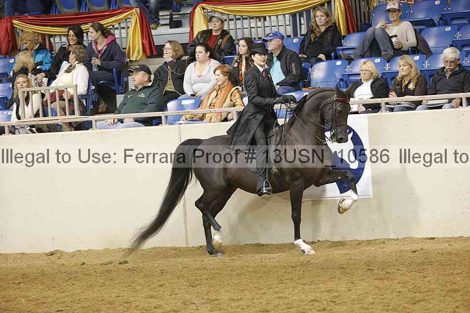 Proof 13usn_10586