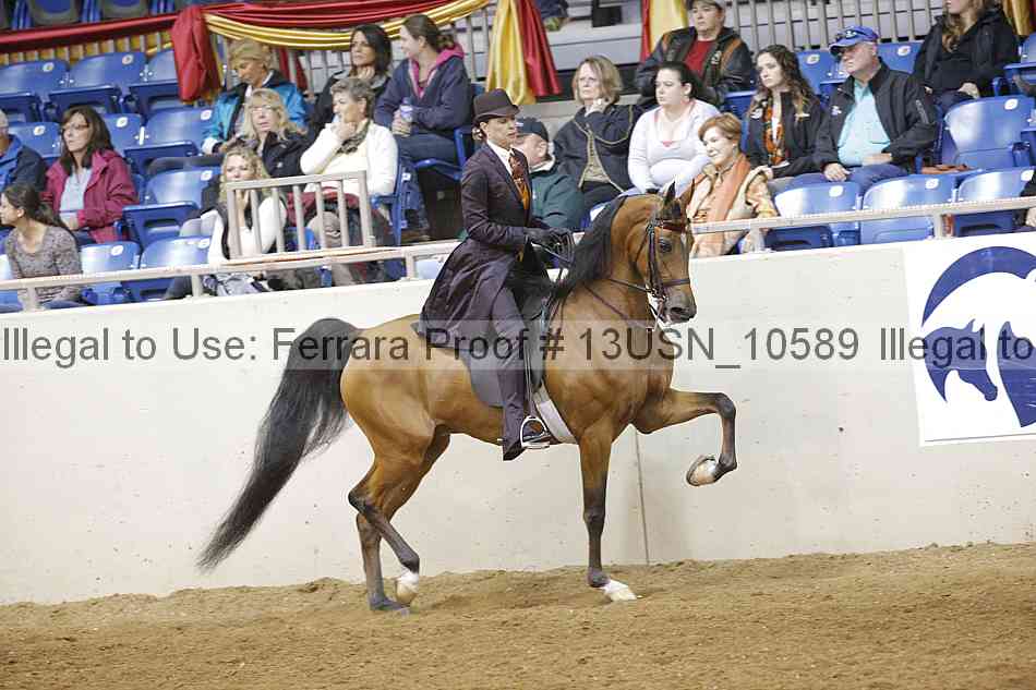 Proof 13usn_10589