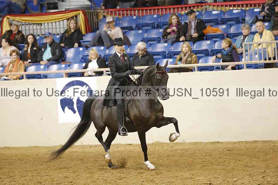 Proof 13usn_10591