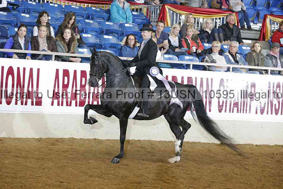 Proof 13usn_10595