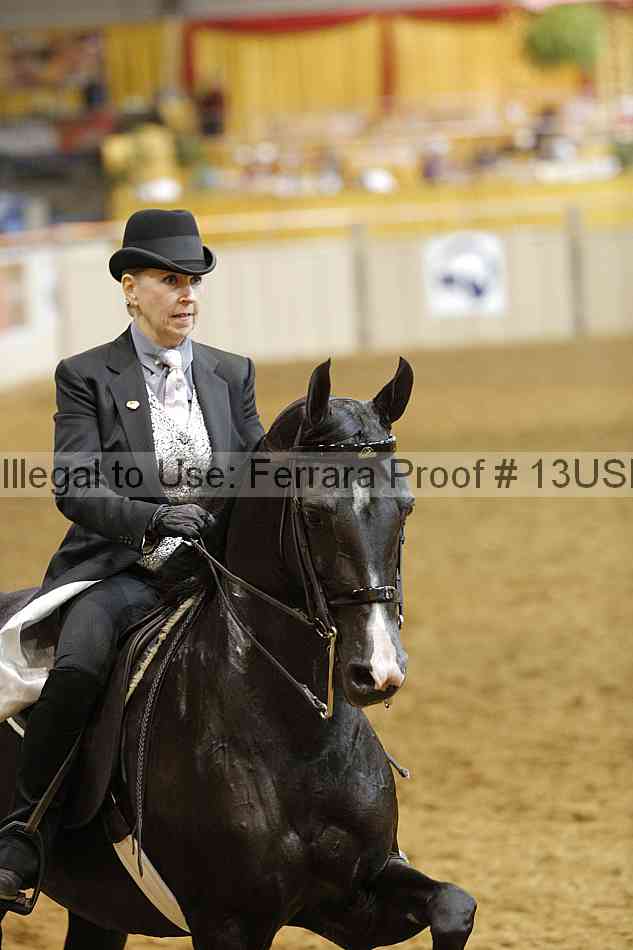 Proof 13usn_10599