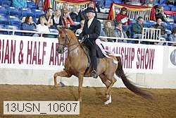 13usn_10607 proof