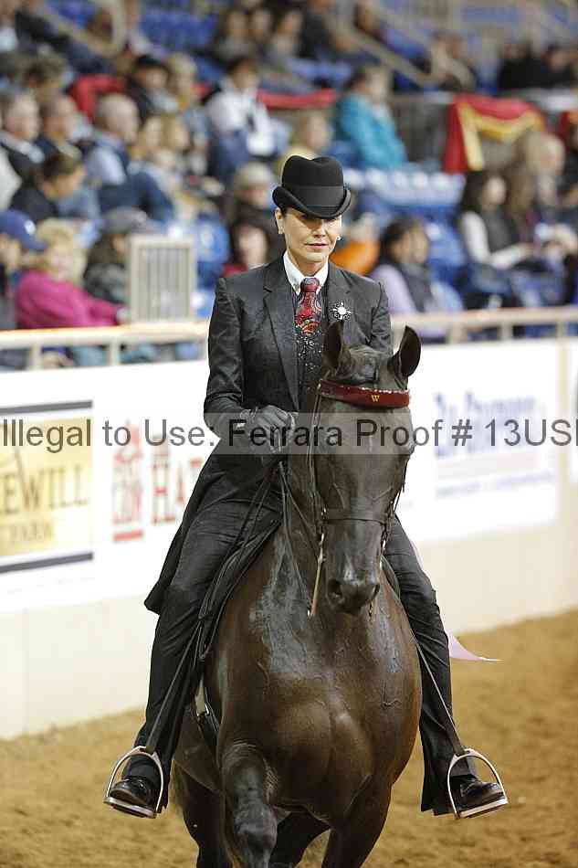 Proof 13usn_10608