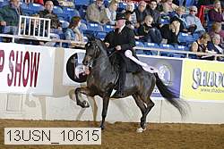 13usn_10615 proof