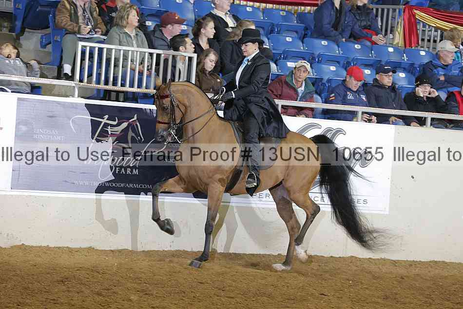 Proof 13usn_10655
