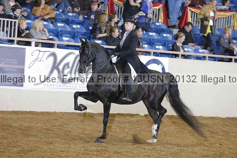 Proof 13usn_20132