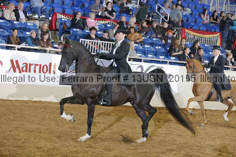 Proof 13usn_20135