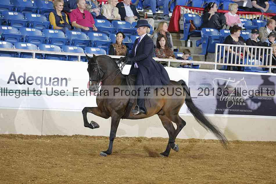 Proof 13usn_20136