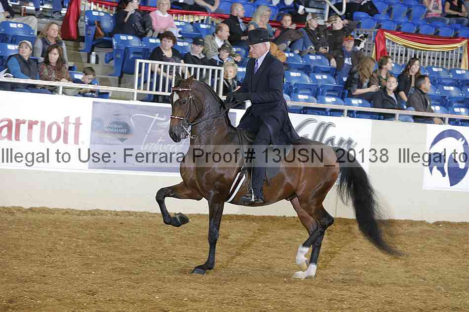 Proof 13usn_20138