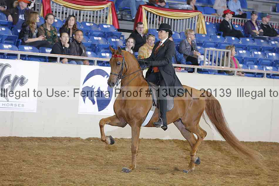 Proof 13usn_20139