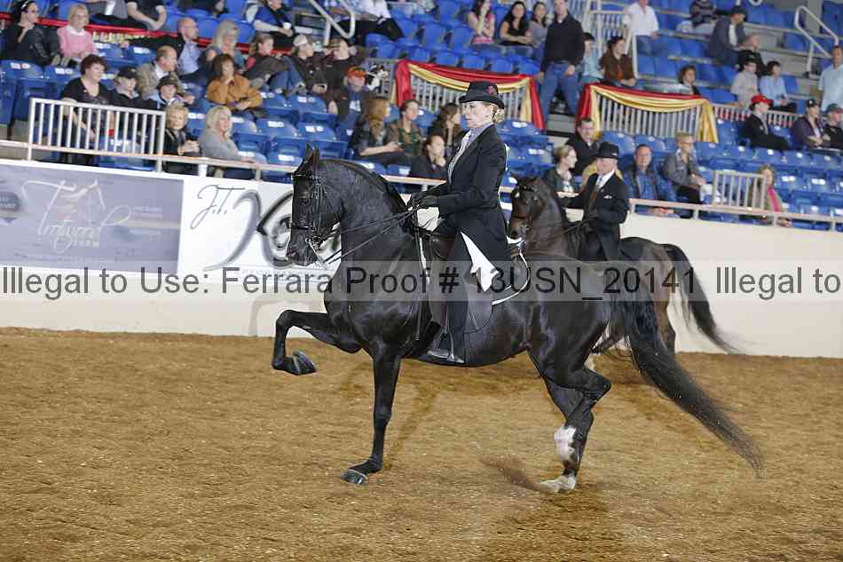 Proof 13usn_20141