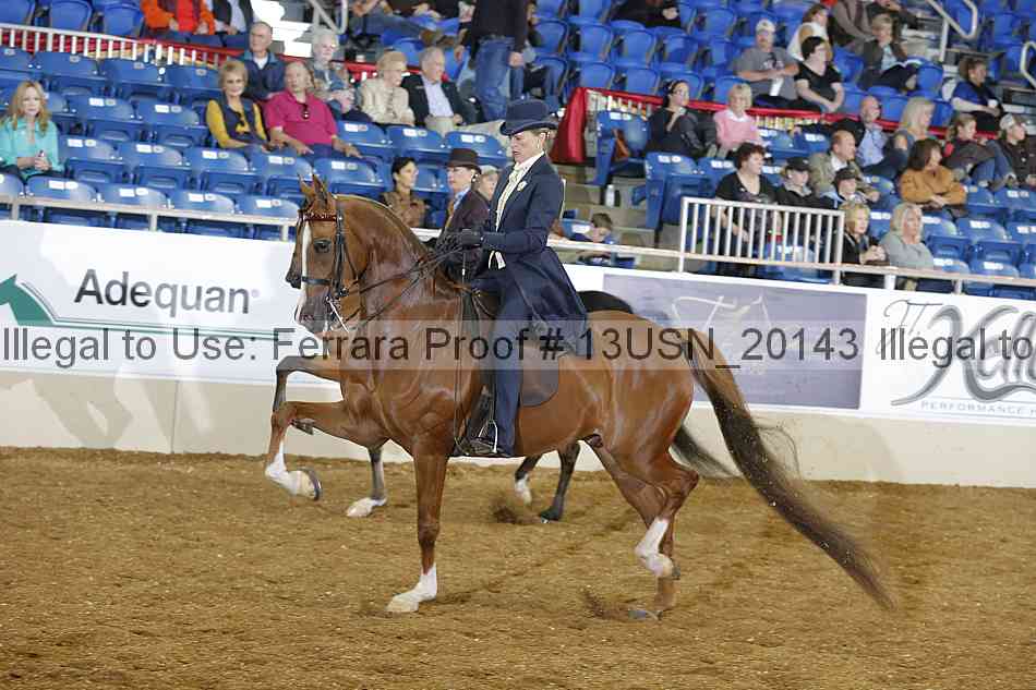 Proof 13usn_20143