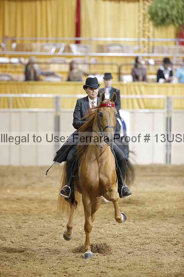Proof 13usn_20147