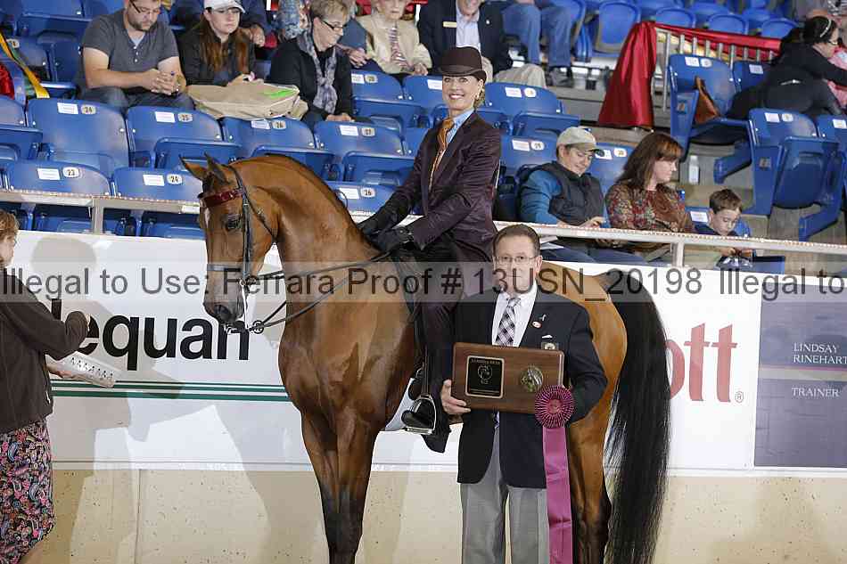 Proof 13usn_20198
