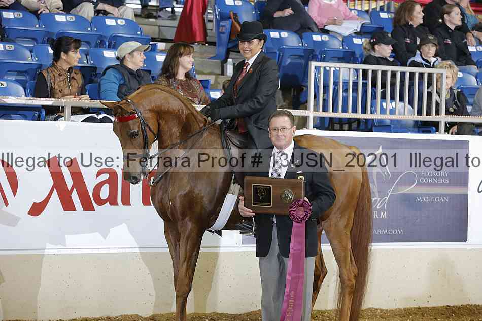 Proof 13usn_20201