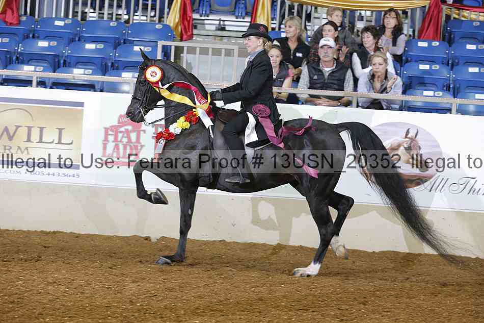 Proof 13usn_20352