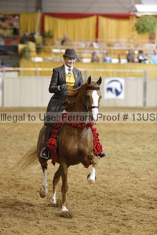 Proof 13usn_20366