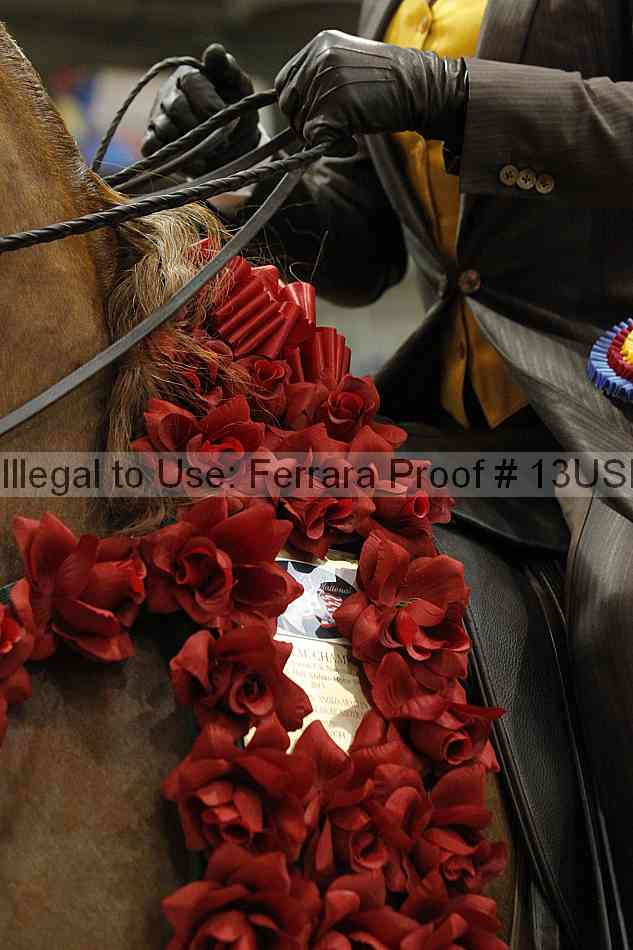 Proof 13usn_20377