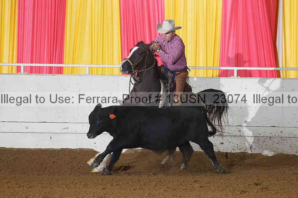 Proof 13usn_23074