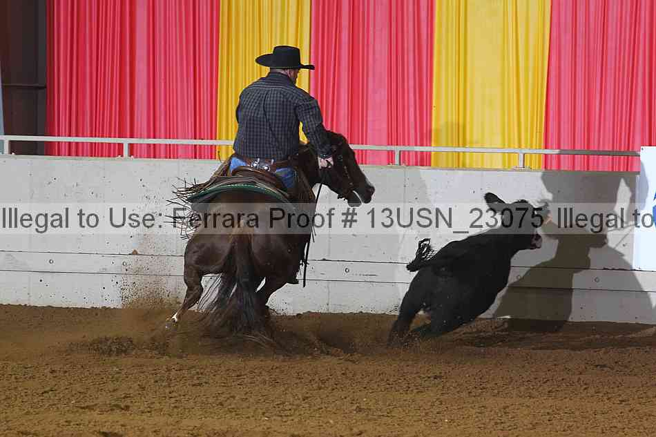 Proof 13usn_23075