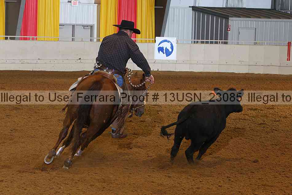 Proof 13usn_23085