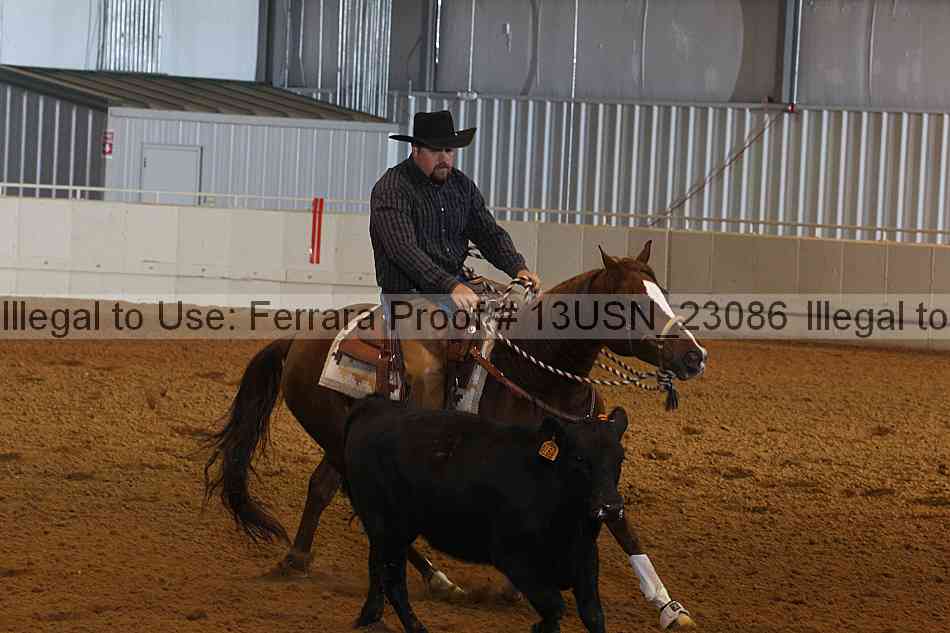 Proof 13usn_23086