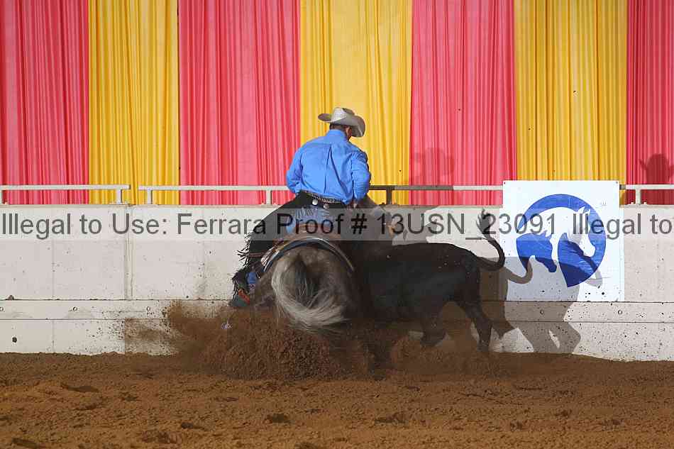 Proof 13usn_23091