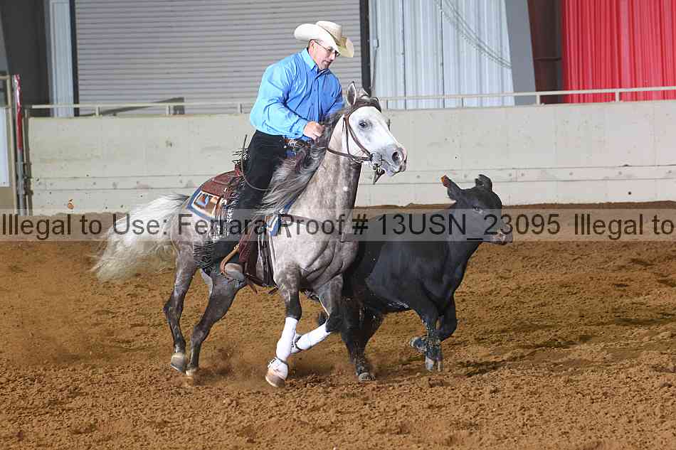 Proof 13usn_23095