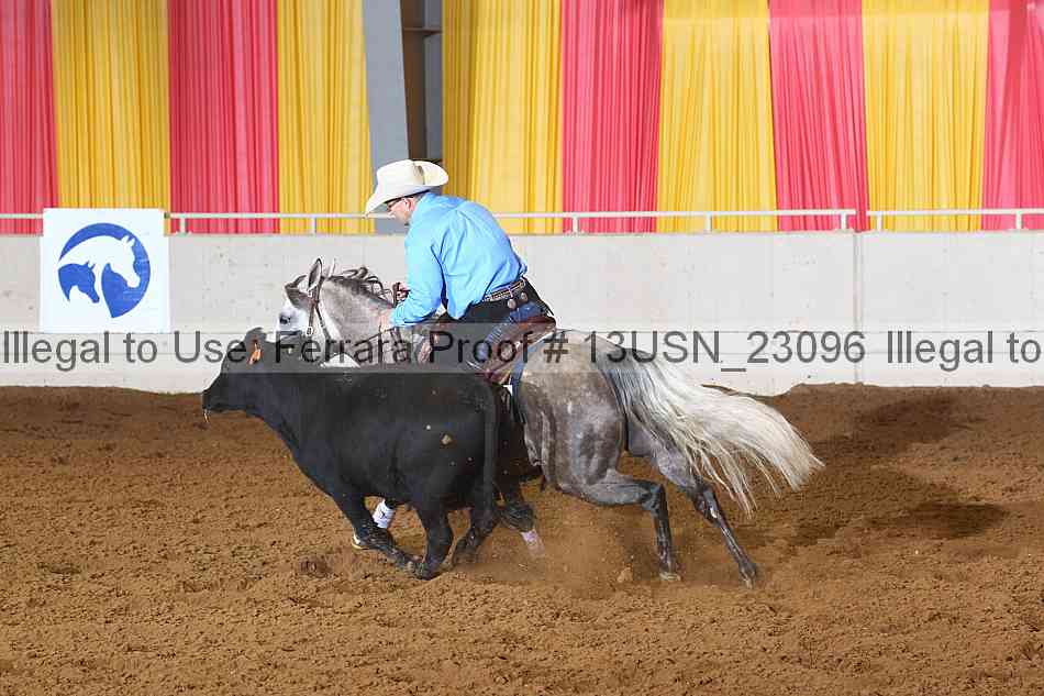 Proof 13usn_23096