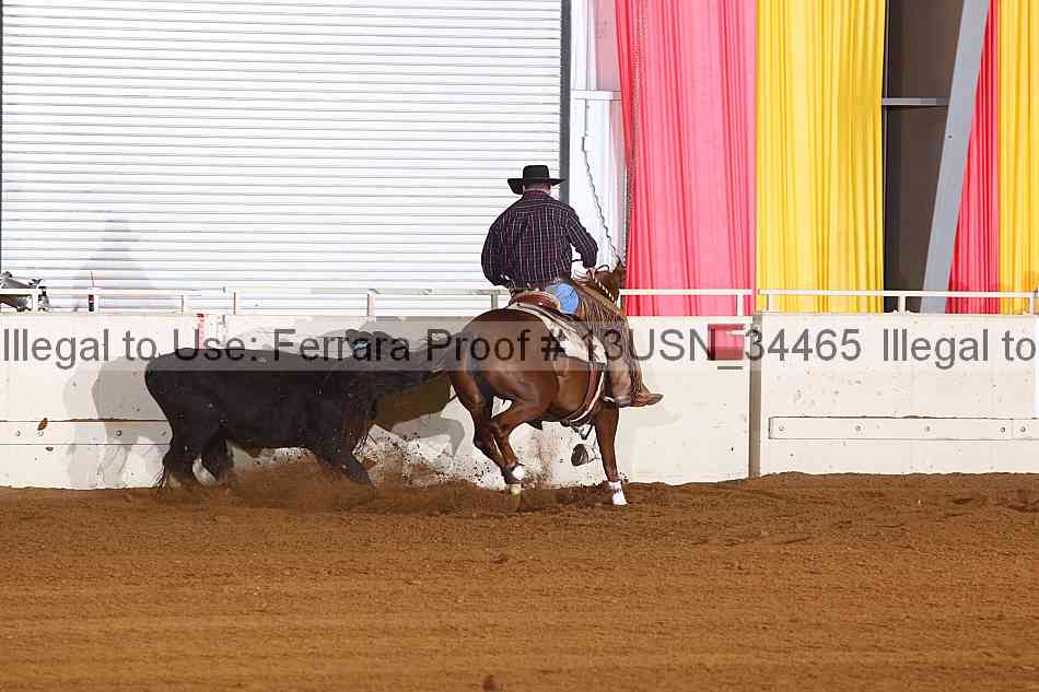 Proof 13usn_34465