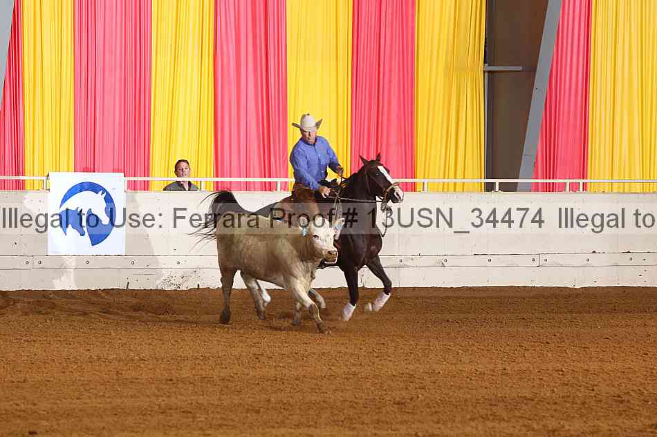 Proof 13usn_34474